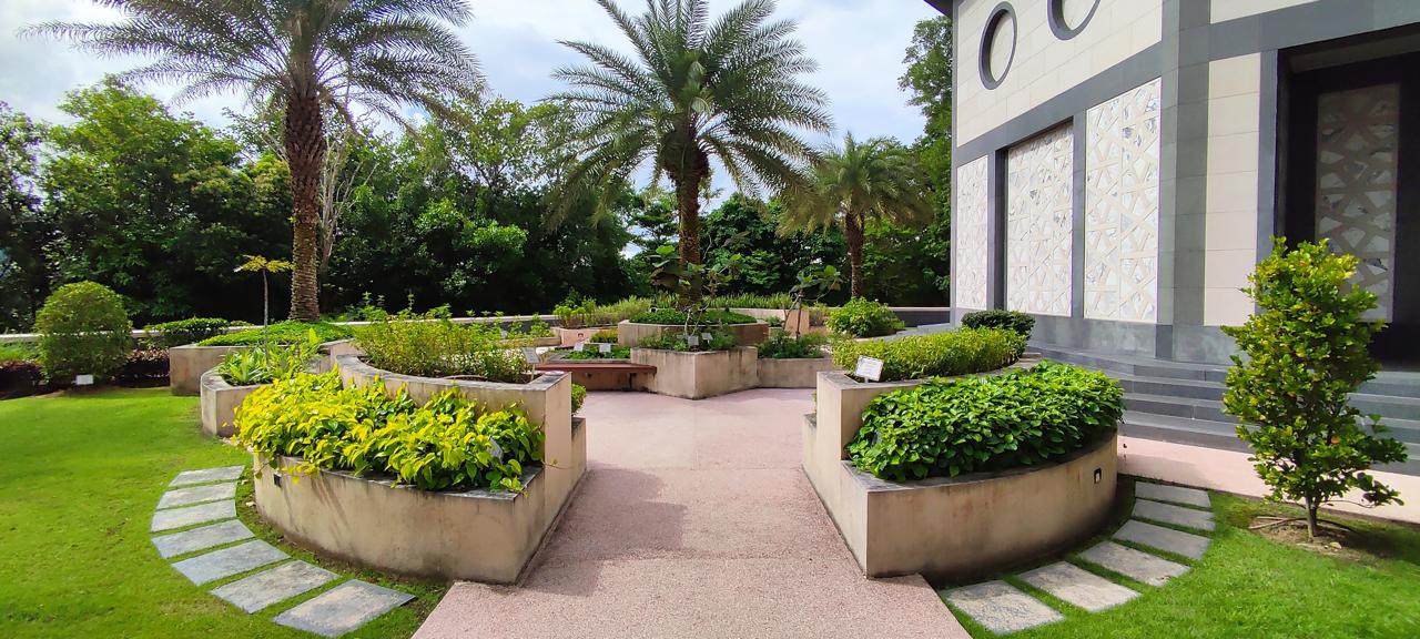 /Discover the architecture/Herbal garden.jpeg